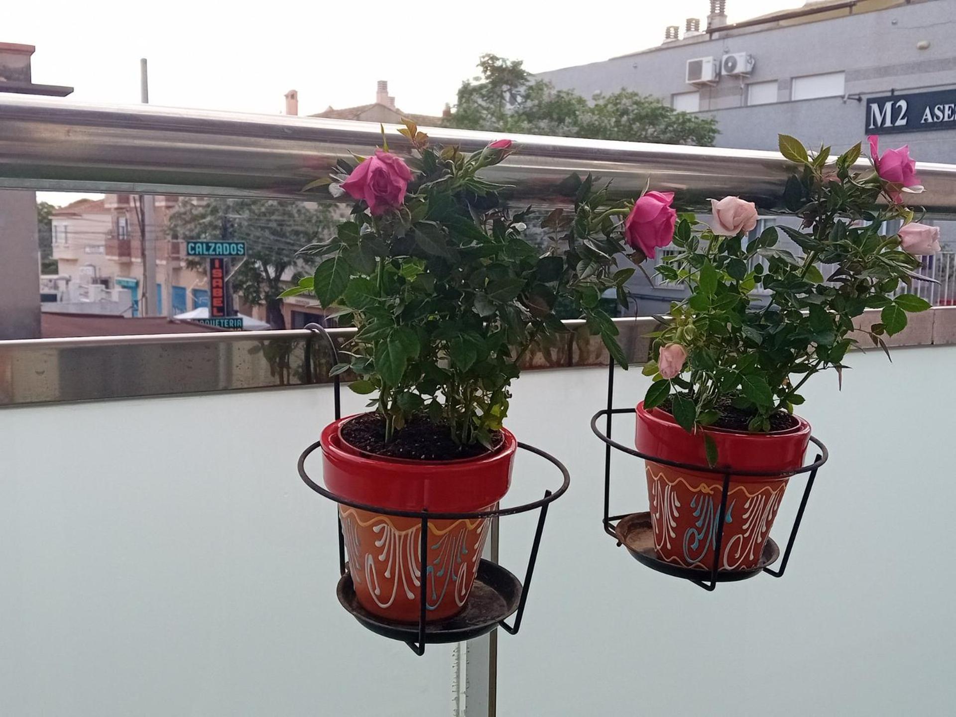 El Estudio De Las Mariposas,Sofa Cama , Cocina Y Bano Partida de La Cañada Exterior foto